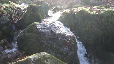 The river. A small waterfall. Forest river in autumn. Shooting at close range. Stock Footage 82475723
