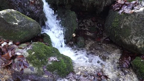 The river. A small waterfall. Forest river in autumn. Shooting at close range. Stock Footage 82475733