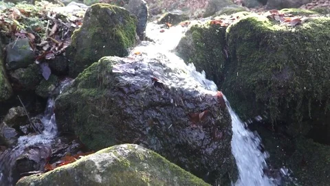 The river. A small waterfall. Forest river in autumn. Shooting at close range. Stock Footage 82475740