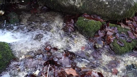 The river. A small waterfall. Forest river in autumn. Shooting at close range. Stock Footage 82475757