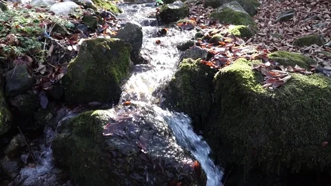 The river. A small waterfall. Forest river in autumn. Shooting at close range. Stock Footage 82475765