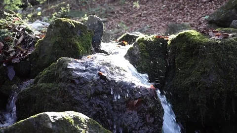 The river. A small waterfall. Forest river in autumn. Shooting at close range. Stock Footage 82475778