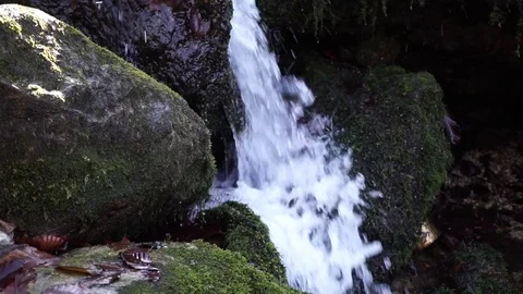 The river. A small waterfall. Forest river in autumn. Shooting at close range. Stock Footage 82475783