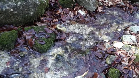 The river. A small waterfall. Forest river in autumn. Shooting at close range. Stock Footage 82475788
