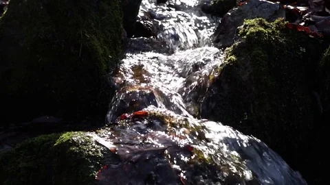 The river. A small waterfall. Forest river in autumn. Shooting at close range. Stock Footage 82475800