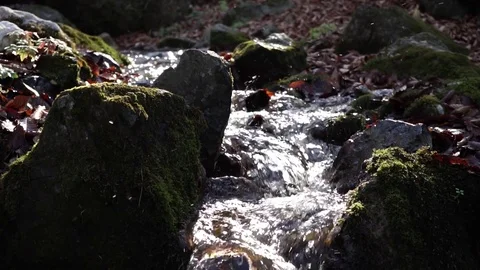 The river. A small waterfall. Forest river in autumn. Shooting at close range. Stock Footage 82475805