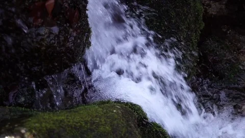 The river. A small waterfall. Forest river in autumn. Shooting at close range. Stock Footage 82475809