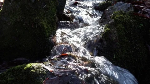 The river. A small waterfall. Forest river in autumn. Shooting at close range. Stock Footage 82475841