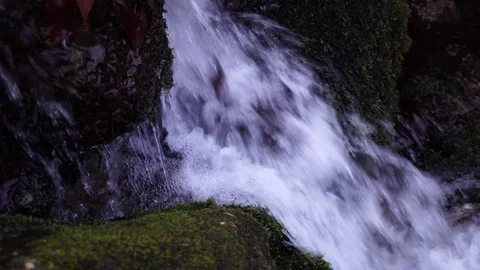 The river. A small waterfall. Forest river in autumn. Shooting at close range. Stock Footage 82475845