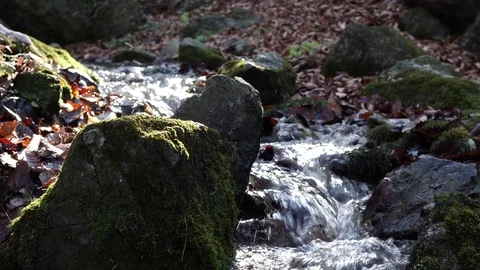 The river. A small waterfall. Forest river in autumn. Shooting at close range. Stock Footage 82475881