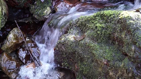 The river. A small waterfall. Forest river in autumn. Shooting at close range. Stock Footage 82475887