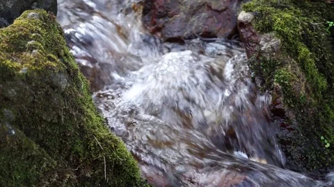 The river. A small waterfall. Forest river in autumn. Shooting at close range. Stock Footage 82475905