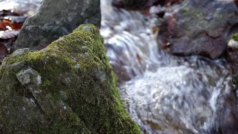 The river. A small waterfall. Forest river in autumn. Shooting at close range. Stock Footage 82475917