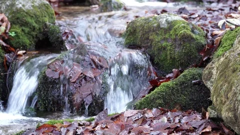 The river. A small waterfall. Forest river in autumn. Shooting at close range. Stock Footage 82475957