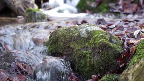 The river. A small waterfall. Forest river in autumn. Shooting at close range. Stock Footage 82475971