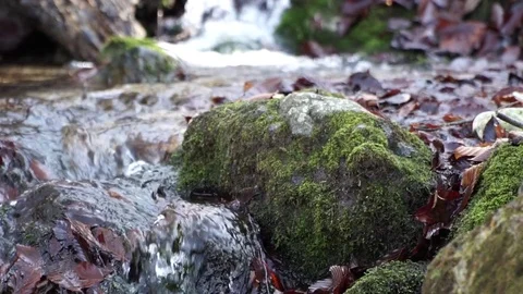 The river. A small waterfall. Forest river in autumn. Shooting at close range. Stock Footage 82475976