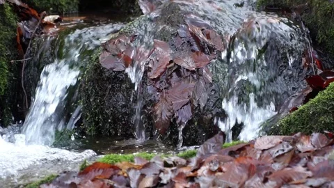 The river. A small waterfall. Forest river in autumn. Shooting at close range. Stock Footage 82475988