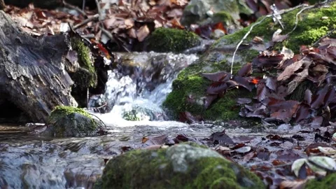 The river. A small waterfall. Forest river in autumn. Shooting at close range. Stock Footage 82475999