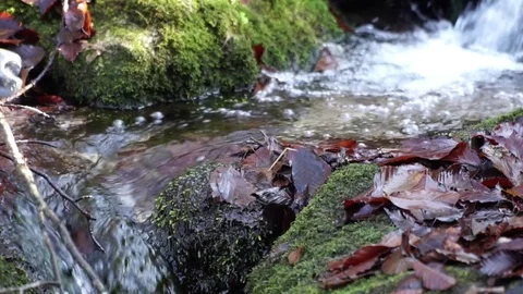 The river. A small waterfall. Forest river in autumn. Shooting at close range. Stock Footage 82476000
