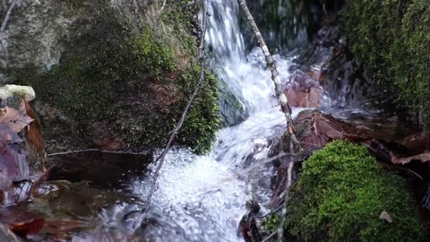 The river. A small waterfall. Forest river in autumn. Shooting at close range. Stock Footage 82476014
