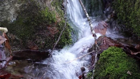 The river. A small waterfall. Forest river in autumn. Shooting at close range. Stock Footage 82476034