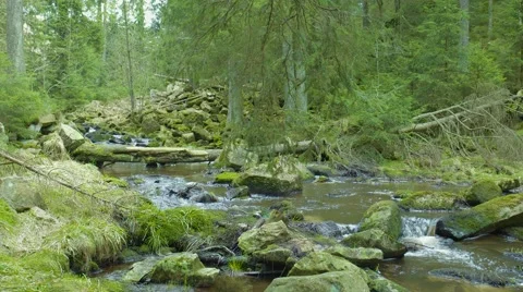 River &amp; Small Waterfall In The Forrest 動画素材 63214463
