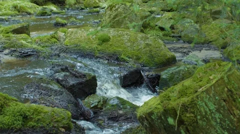 River &amp; Small Waterfall With Moss On Rocks 動画素材 63213431