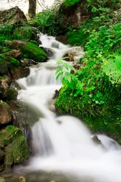 River with small waterfalls Stock Photos