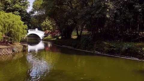 River Small White Bridge Stock Footage 156521404