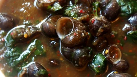 River snails curry or Kaeng Hoy Jub , Thai northern food. Stock Footage 229999409