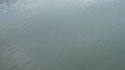 River snow falling close-up. Vídeos de archivo 224473194