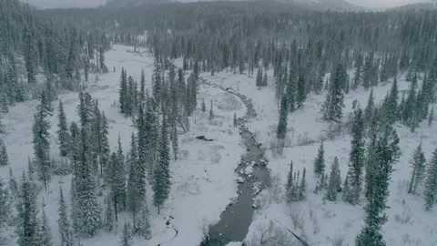 River in snow forest and mountains, Ergaki, Siberia, Russia Stock Footage 141829461