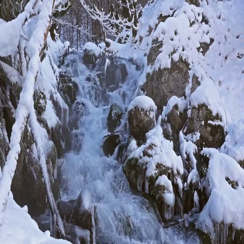River in snowy forest Video stock 69469064