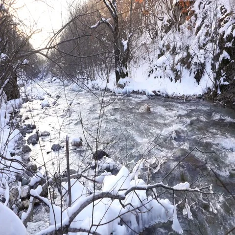 River in snowy forest Video stock 69469200