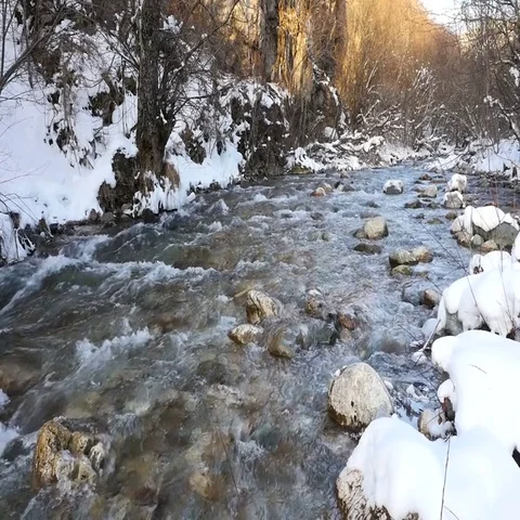 River in snowy forest Stock Footage 69469920