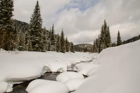 A river in a snowy forest. Stock Photos