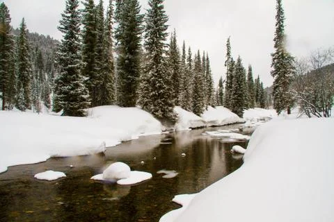 A river in a snowy forest. Foto stock
