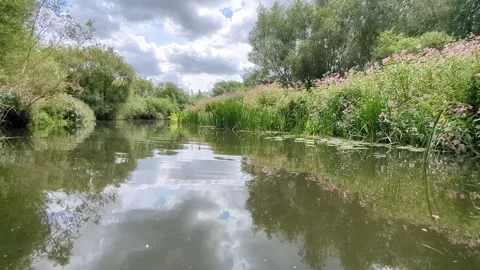 River Soar Downstream UK July 2024 Calm Stock Footage 280433439