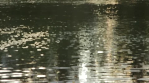 River Soft Focus Background - defocused Stock Footage 42743898