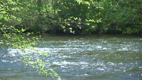 River with soft focus 動画素材 242752657