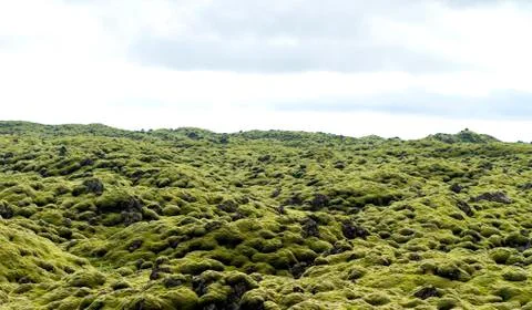 River of solidified lava Foto stock