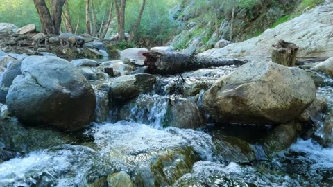 River with sound Video stock 151786264