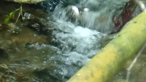 River sounds, nature sounds Stock Footage 201330891