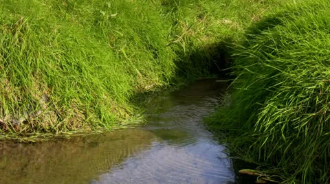 River source Vídeo Stock 26367653