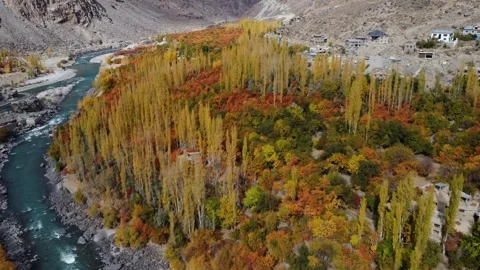 The river sparkles beneath a canopy of red, orange, and gold. Stock Footage 310782902