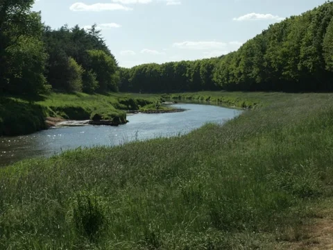 River with sparkles during summer Stock Footage 342340066