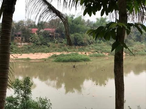 River Spider Foto stock