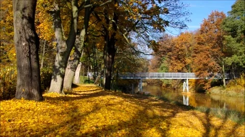 River Spree in autumn Stock Footage 65183608