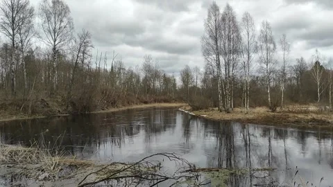 River in spring (2) Full HD 60 FPS Stock-Footage 270336173
