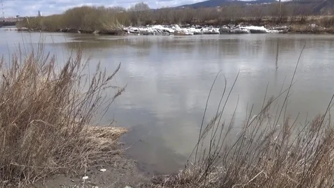 River in spring, along the shores of ice Stock Footage 75462010